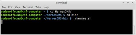 hermes jms does not start|JMS .